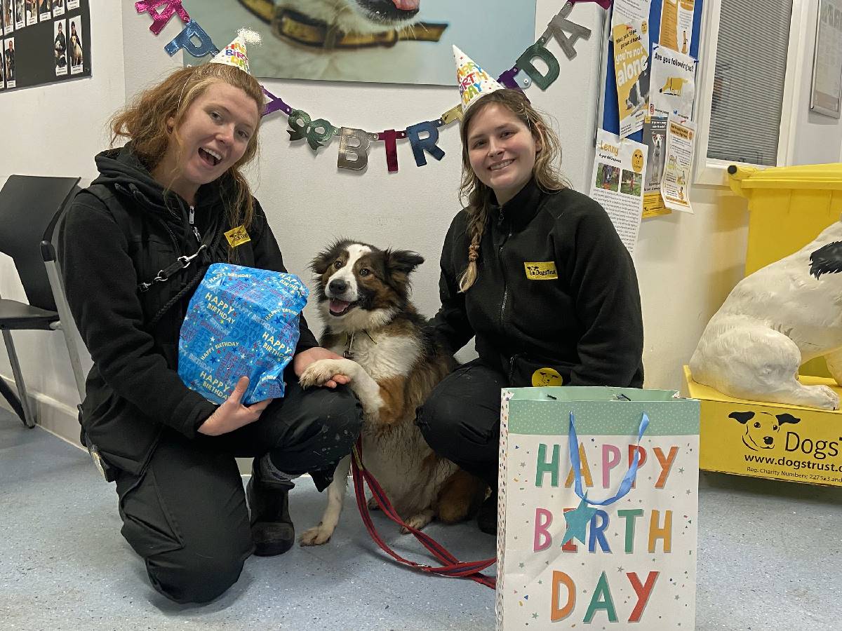 All the team including:- Stephanie Massaglia (left) and Alicia Short are hoping their birthday and Christmas wishes come true for Hiro and he finds his forever home.