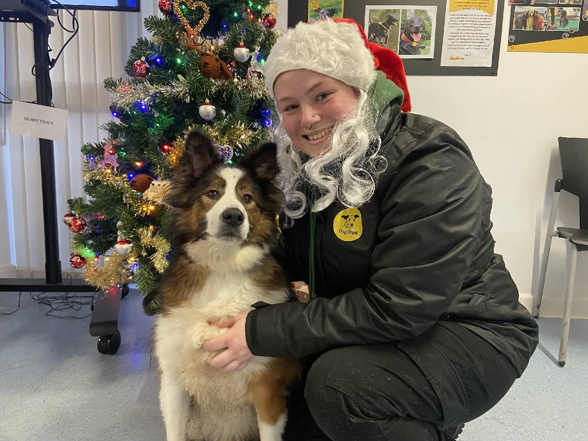 Handsome Hiro hopes he will be heading off home with a new family soon. He is pictured with team member Charlotte Kemp.