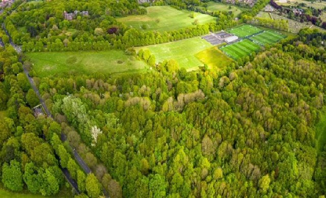 Aerial shot of the woodland where the new memorial will be located.