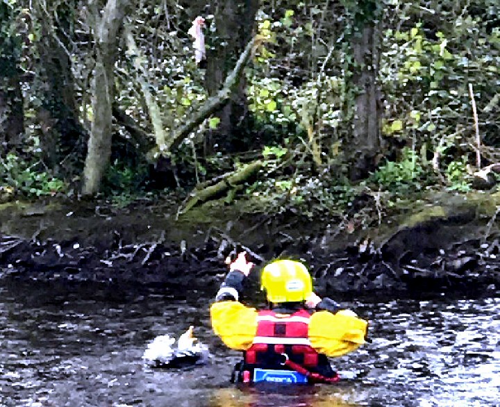 Water rescue mission launched to help gull tangled in fishing wire.