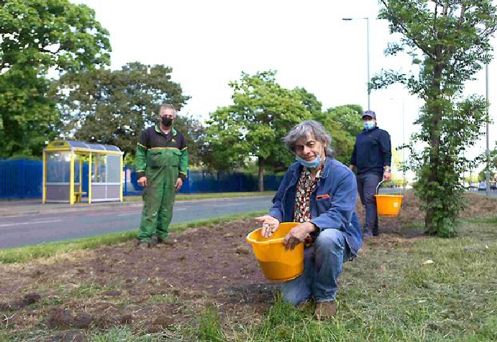 Plantastic Project: Richard Scott, Dave Roughley and Bradley Hampson sowing the seeds.